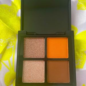 YC Collection Eye Shadow Quad
